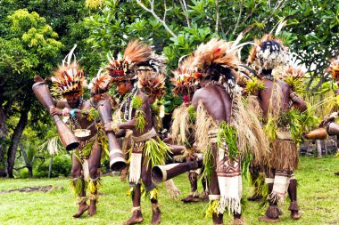 Young Papuan tribal warriors dressed in traditional grass skirts clipart