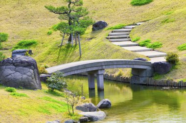 Bir rock dik tepeye mi adımlarla Köprüsü taş ve ağaç bahçe çam