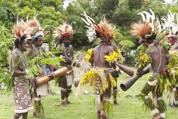 Guerreiros tribais e mulheres vestidas com grama nativa, pássaros de penas paradisíacas realizando dança tradicional em uma aldeia florestal — Fotografia de Stock