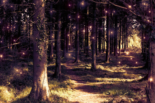 Fairy woodland conceptual creation in the Forest of Dean, Gloucester, England.