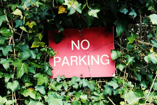 赤｜No Parking Sign — ストック写真