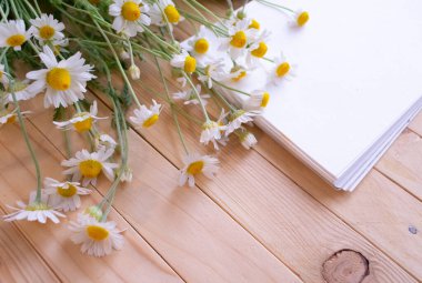 Saha papatyaları, boş not defteri, metin için yer