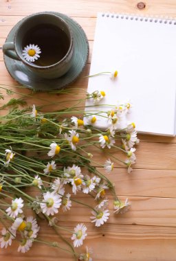 Saha papatyaları, boş not defteri, metin için yer