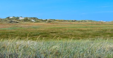 Yazın Sankt Peter Tarikatı 'nda kum manzarası