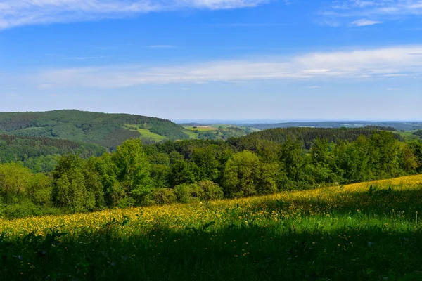 Nádherná Jarní Krajina Kvetoucí Pampeliškovou Loukou Eiffelu — Stock fotografie