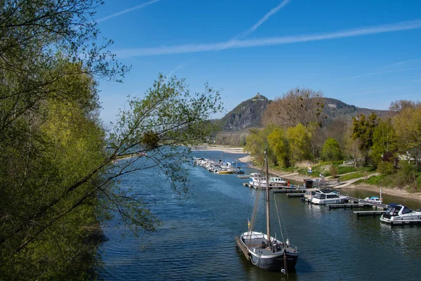 Kilátás Grafenwerth Szigetről Drachenfels — Stock Fotó