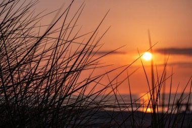 Baltık Denizi 'ndeki Zingst kumullarında inanılmaz bir gün batımı.