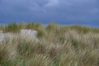 Kum manzarası bulutlu bir gökyüzü