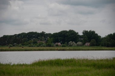 Baltık Denizi 'ndeki 