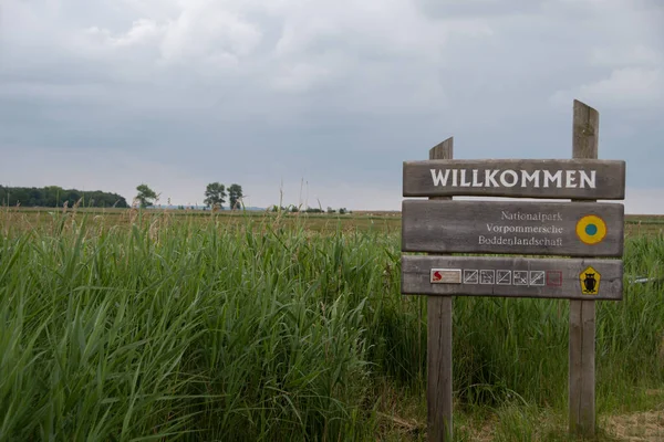 Знак Надписью Добро Пожаловать Национальный Парк Vorpommersche Boddenlandschaft Перед Пейзажем — стоковое фото