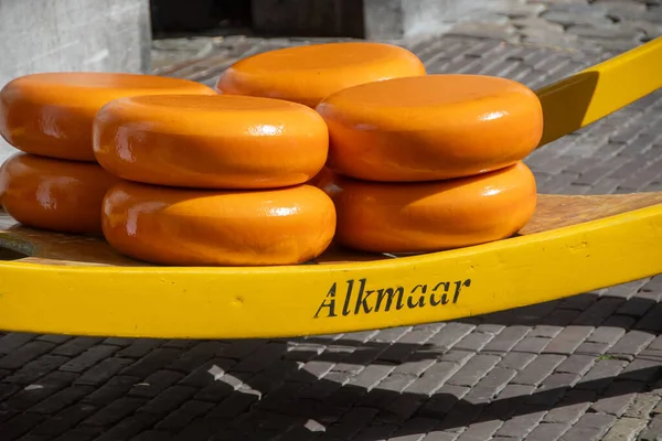 Sarı ahşap tepside parlak turuncu kabuklu yuvarlak peynir tekerlekleri.