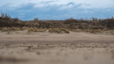 Mavi gökyüzünün altında kum tepecikleri