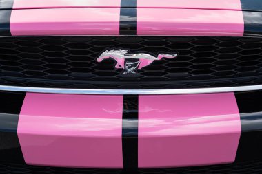 Eureka Springs, AR - 11 Haziran 2021: Ford Mustang, geniş pembe çizgili siyah bir arabanın ızgarasında midilli işletiyordu..