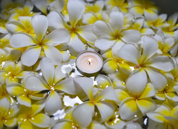 Frangipani mit Kerze im Wasser — Stockfoto