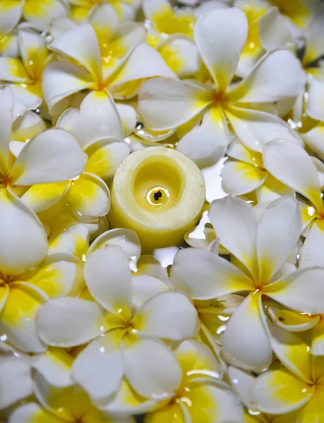 Frangipani con candela in acqua — Foto Stock