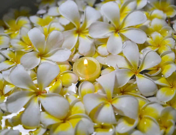 Frangipani met kaars in het water — Stockfoto