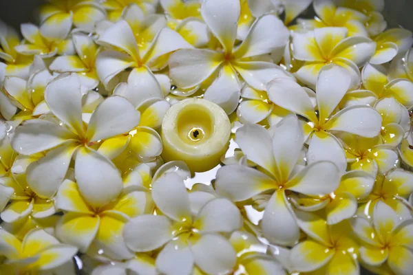 Frangipani with candle in the water — Stock Photo, Image