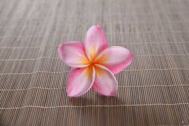 Frangipani mat doku