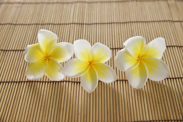 Frangipani na textura do tapete — Fotografia de Stock