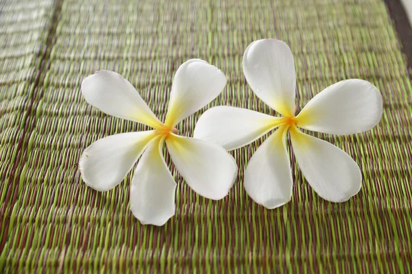 Frangipani en la textura de la estera —  Fotos de Stock