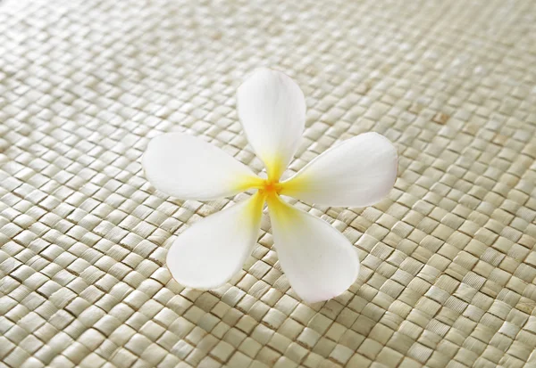 Frangipani en la textura de la estera — Foto de Stock