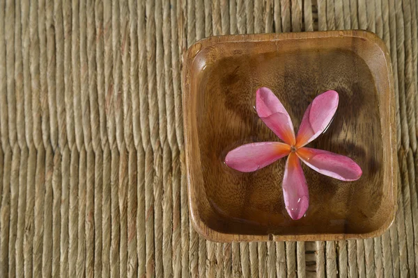 Frangipani çiçek — Stok fotoğraf