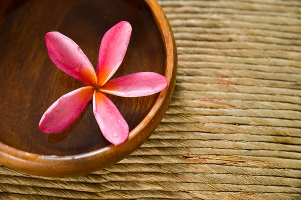 Frangipani Spa — Fotografia de Stock