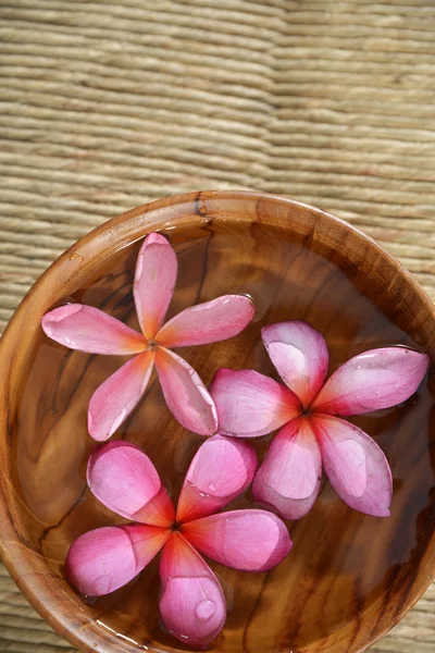 Spa frangipani — Stockfoto