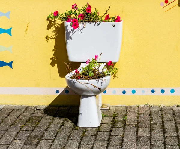 Banheiro Velho Convertido Vaso Flores Fora Banheiro Público Bantry County Fotografias De Stock Royalty-Free