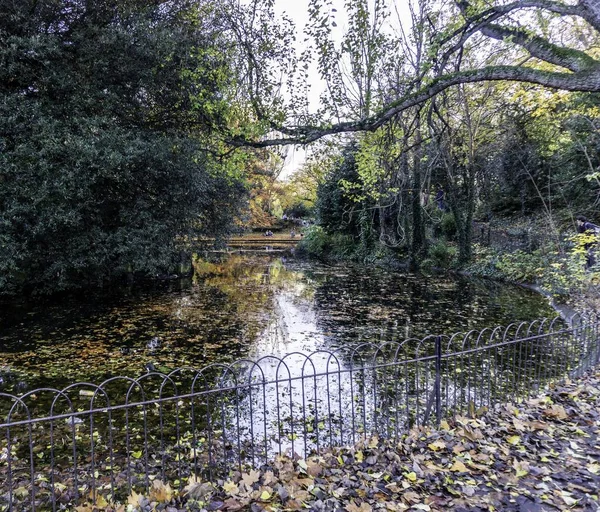 Herfst Stephens Green Dublin Ierland Herfst Kleuren Weerspiegeld Het Meer — Stockfoto