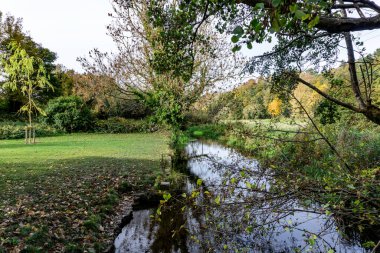 Liffey Nehri 'nin bir kolu olan Glenaulin Nehri, Palmerstown, Dublin, İrlanda' daki Waterstown Park 'tan geçiyor.. 