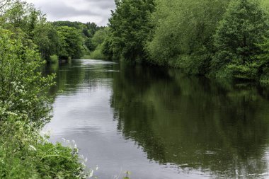 Dublin, İrlanda 'daki Chapelizod yakınlarındaki Liffey Nehri kıyısında yemyeşil bir yer..