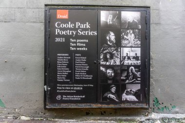 Galway, Flood Caddesi 'ndeki Druid Tiyatrosu' nun yaz programı. Covid kısıtlamaları nedeniyle tüm gösteriler sadece çevrimiçi.. 