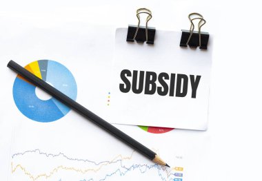 İş grafikleri ve kalem üzerine SUBSIDY metin ile not