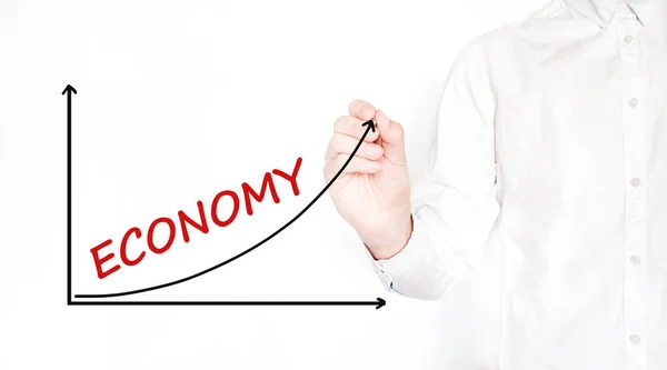 Mladý Podnikatel Kreslí Koncept Economy Diagramu Izolováno Bílém — Stock fotografie
