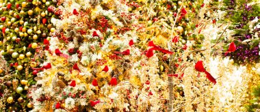 Arka planda süslü çam ağacı olan Noel ağacında tatlı kırmızı kuşlar.