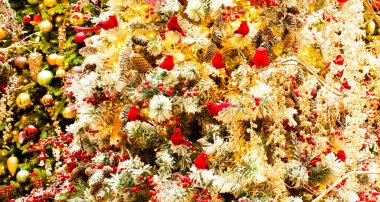 Arka planda süslü çam ağacı olan Noel ağacında tatlı kırmızı kuşlar.