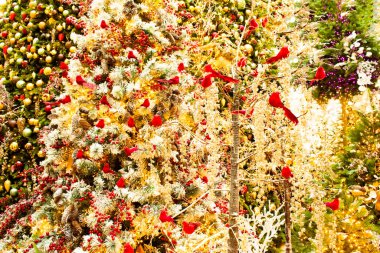 Arka planda süslü çam ağacı olan Noel ağacında tatlı kırmızı kuşlar.