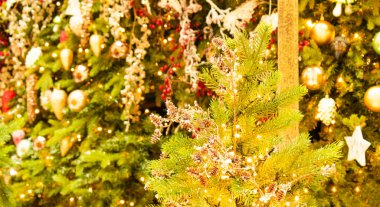 Arka planda bulanık çam ağacıyla süslenmiş Noel ağaçları. 2021