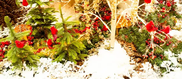 Милые Красные Птицы Рождественской Елке Снегу Рождественское Настроение — стоковое фото