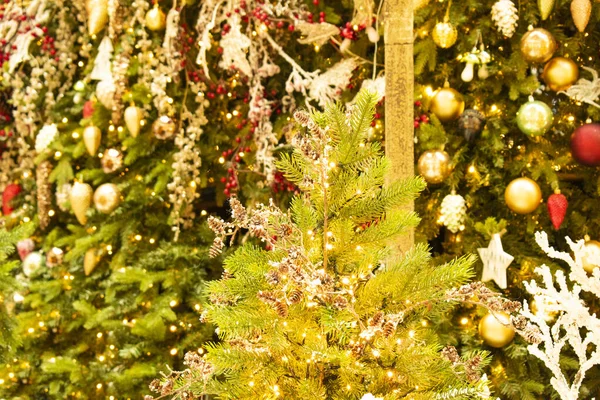 Geschmückte Weihnachtsbäume Mit Verschwommenem Tannenbaum Auf Dem Hintergrund 2021 — Stockfoto