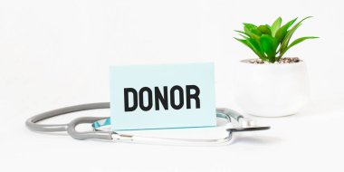 Not defteri, steteskop ve yeşil bitki üzerine DONOR kelimesi