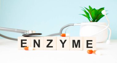 ENZYME kelimesi ahşap bir arka planda steteskopun yanındaki tahta küplere yazılmıştır. Tıbbi konsept