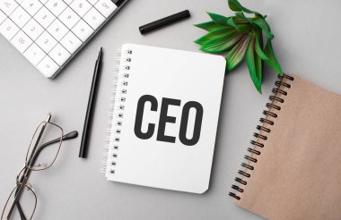 CEO, hesap makinesi, el işi renkli not defteri, bitki, siyah kalem ve gözlük ile beyaz bir deftere yazılmıştır..