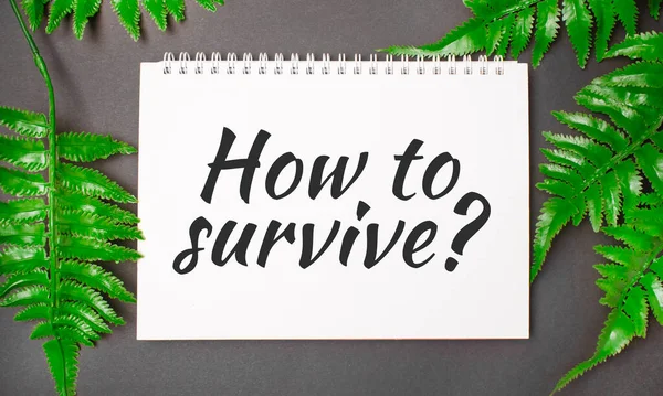 How to survive text with real leaves tropical jungle background.flat lay design.