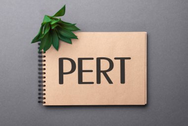 Renkli not defteri ve koyu arkaplanda yeşil bitki hakkında uzman metni