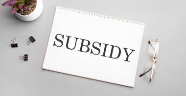 SUBSIDY bir kalem, siyah çerçeveli gözlük ve yeşil bir bitkinin yanında beyaz bir deftere yazılmıştır..
