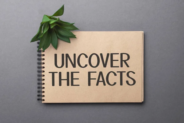 Uncover Facts Text Craft Colored Notepad Green Plant Dark Background — Stock Photo, Image