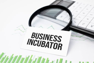 İş konsepti. Tahta arkaplanda BASICS 'e yazılmış hesap makinesi, büyüteç, kalem, masa saati ve defterin üst görünümü.