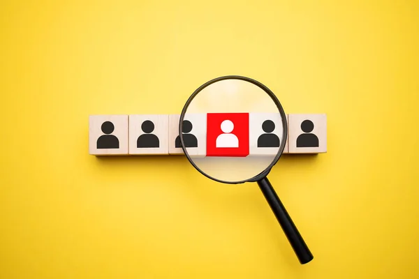 Sarı arka planda logosu olan tahta küplerin altında büyüteç tutan kadın görüntüsü.